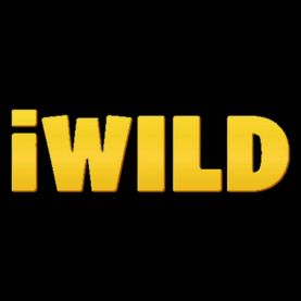 iWild kasyno online automaty
